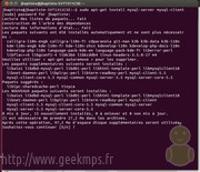 installation nginx sous ubuntu 12.10 image 001 installation nginx img 001