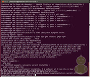 installation nginx sous ubuntu 12.10 image 006 installation nginx img 006